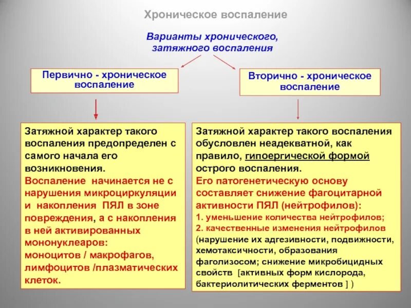 Патогенез первично хронического воспаления. Первичное и вторичное хроническое воспаление. Этиология хронического воспаления. Патогенез воспаления патологическая физиология. Изменения вторичного характера