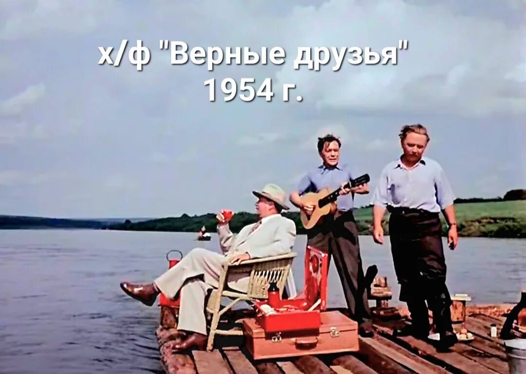 Мои верные друзья ютуб. Мои верные друзья ютуб. Собака друг. Собака друг человека. Собака друг человека.