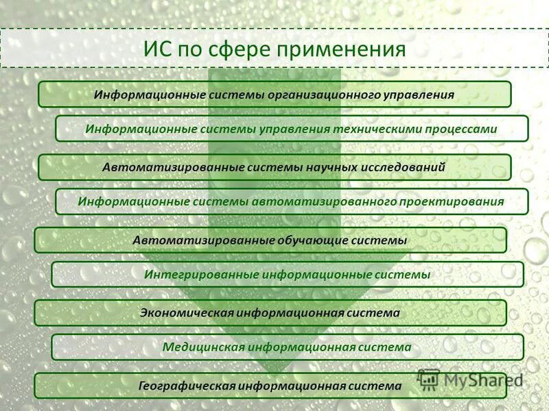 Информационная система бывает