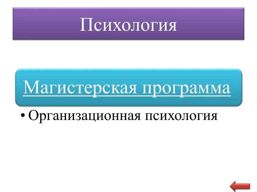 Организационная психология учебник занковский. Магистратура организационная психология. Организационная психология. Организационная психология. Организационная психология.