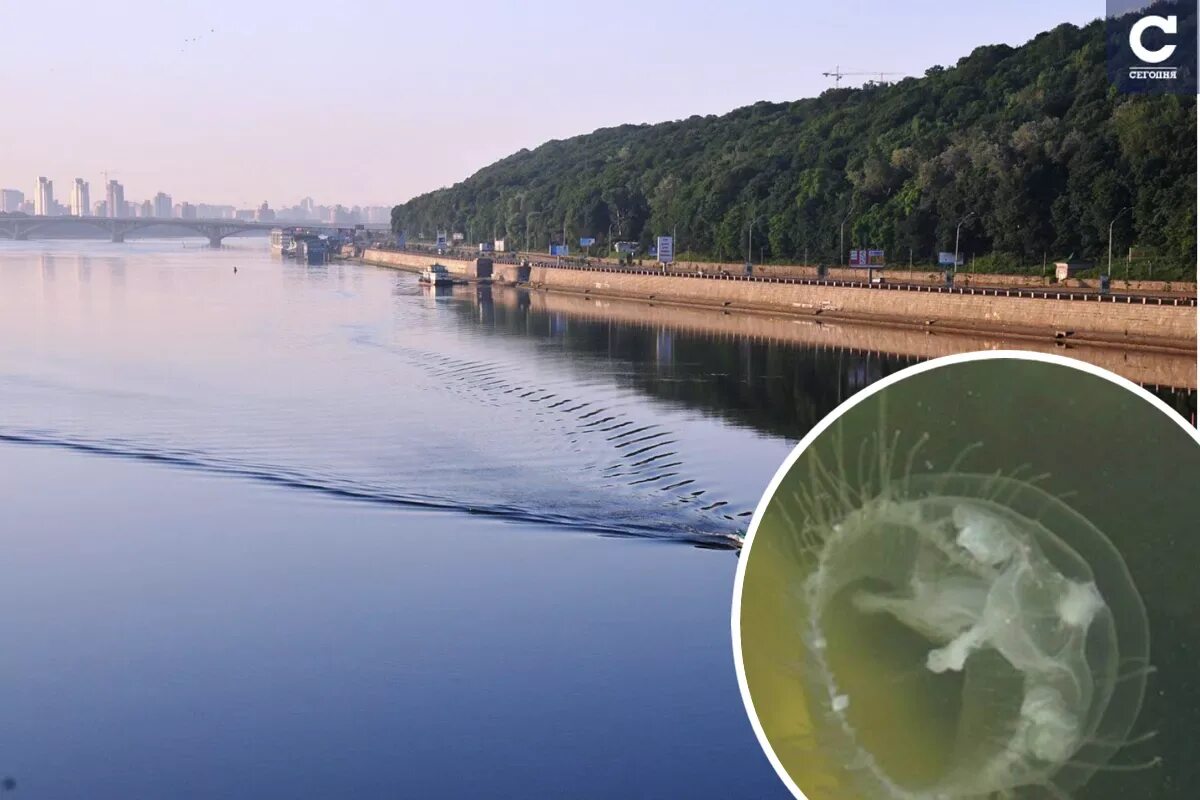 Вод поднялась в днепре. Наводнение половодье. Киев в воде сегодня. Наводнение. Затопление киева.