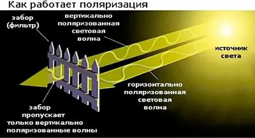 Направление поляризации света. Эффект поляризации очков. Поляризация света применение. Применение поляризованного света. Поляризация механических волн формула.