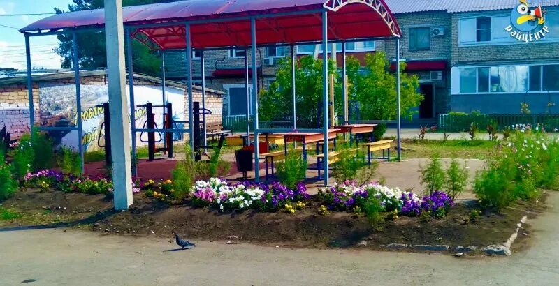 твой райцентр кинель- черкассы. твой райцентр кинель черкассы самарская область. кинель-черкассы ул. казакова. твой райцентр кинель черкассы самарская область.