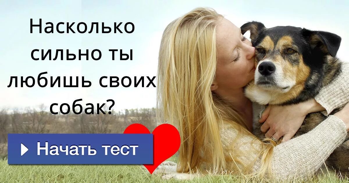 Я очень люблю свою собаку