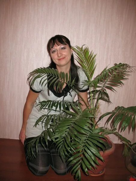 Лунина 5. Лунина 5. Лунина 5. История открытия витаминов функ. Лунина 5.