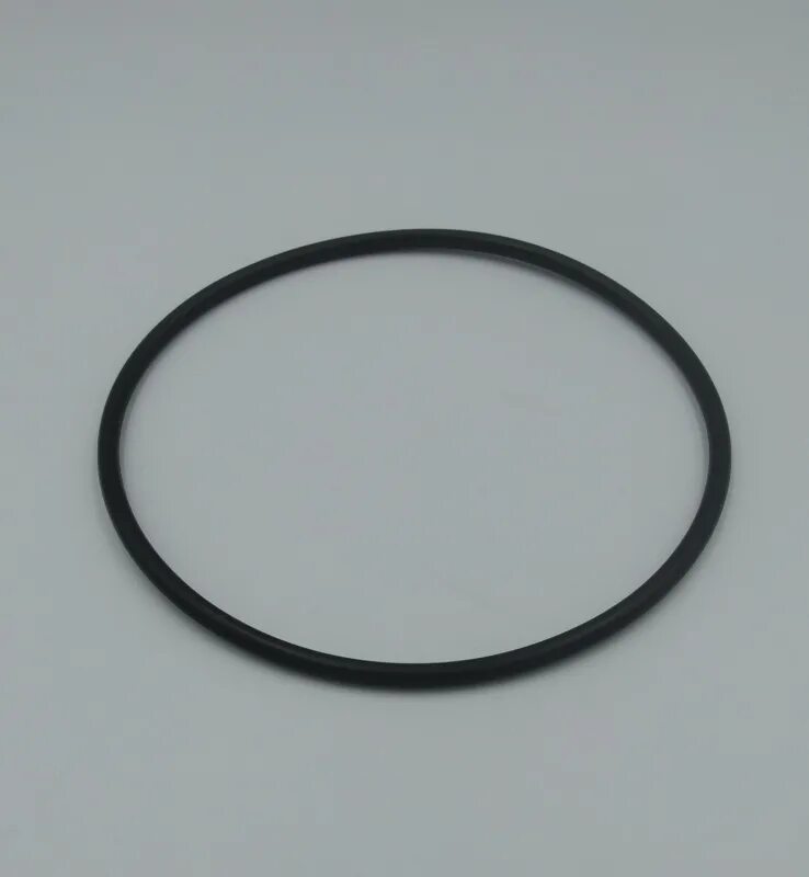 Уплотнительное кольцо гейзер. Кольцо уплотнительное для корпуса гейзер 10sl. Кольцо уплотнительное гейзер для корпуса 1г 10sl, 23413. Уплотнительное кольцо гейзер 10sl. Кольцо уплотнительное для корпуса гейзер 10sl.