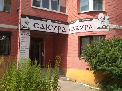 Сакура салон красоты