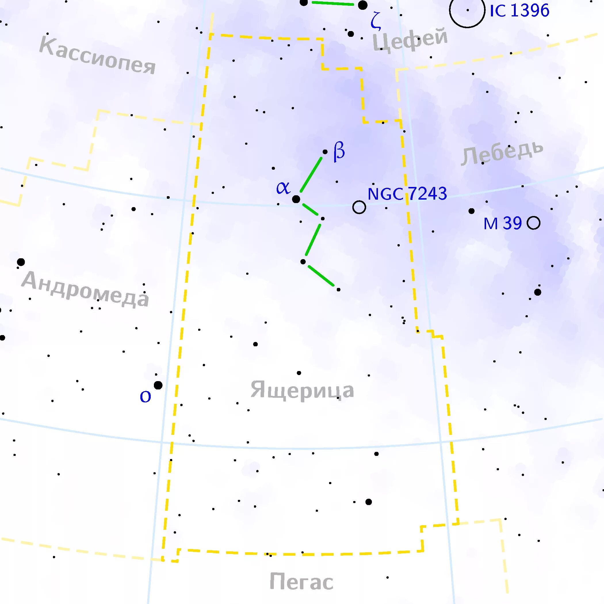 Карта ящера. Лацерта Созвездие. Созвездие ящерицы на карте звездного неба. Созвездие ящерица звезды. Созвездие Кассиопея схема.