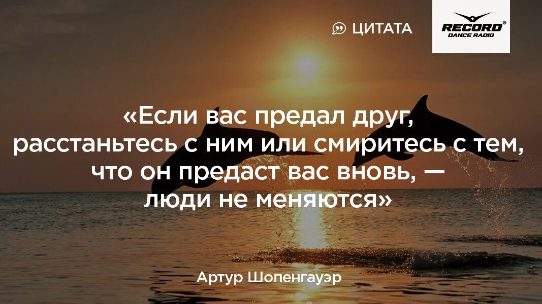 Что делает предательство. Если предал друг. Если вас предали цитата. Когда друг предал высказывания. Если предал друг афоризмы.