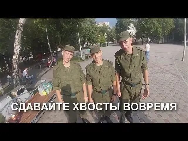 Куда девать хвосты
