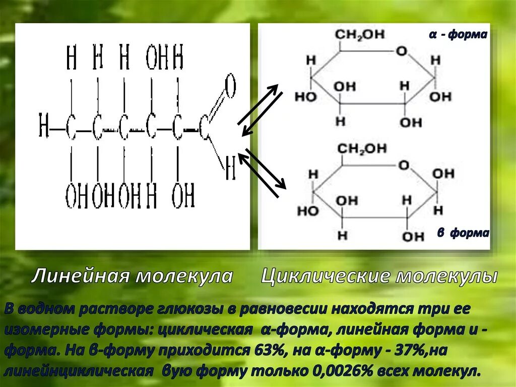 Глюкоза компонент. Цепное строение Глюкозы. Строение Глюкозы циклическая форма. Линейная и циклическая формула Глюкозы. Линейная формула Глюкозы.