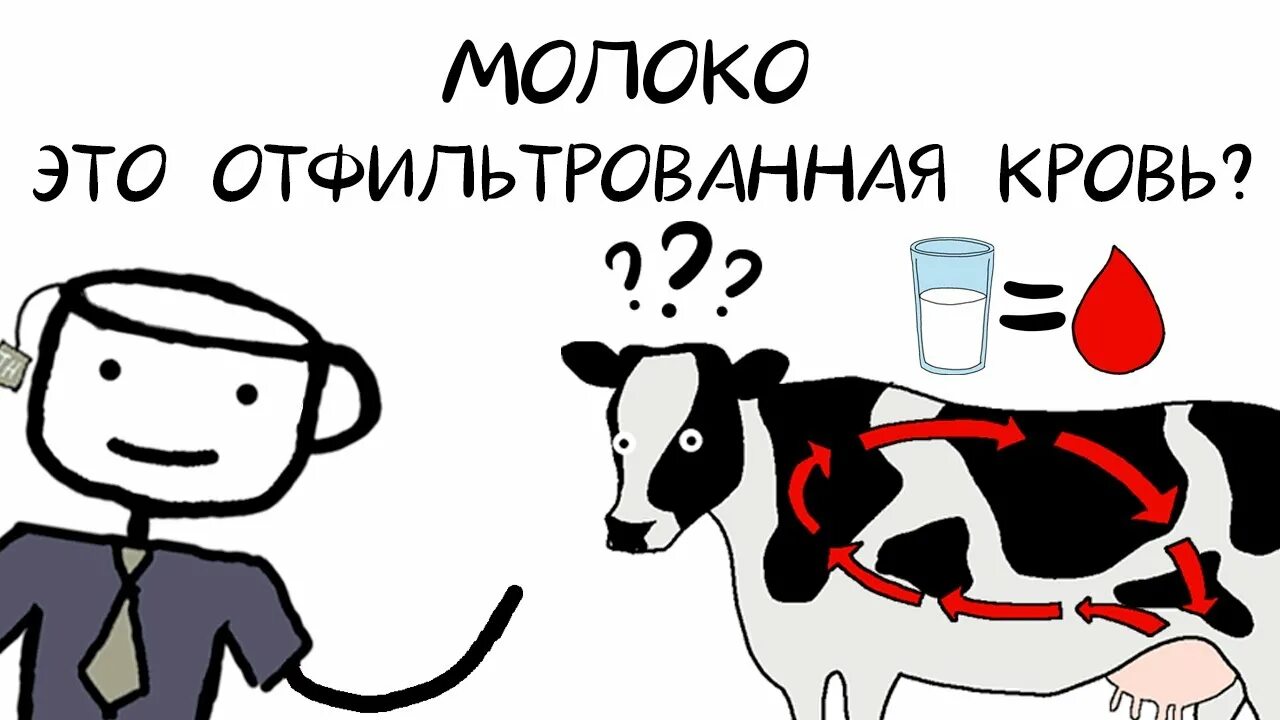 Blood milk. Молоко это отфильтрованная кровь.