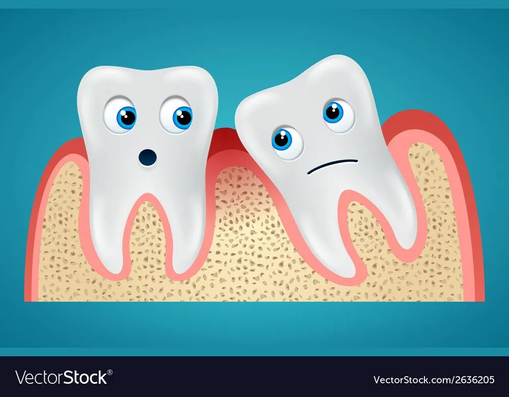 Two tooths. Здоровые и нездоровые зубы. Зуб мультяшный.