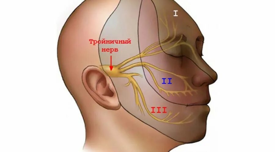 Отличить зубную боль от воспаления тройничного. Проектировка тройничного нерва. воспаление тройничного нерва фото. тройничный нерв стоматология. воспаление тройничного нерва на лице у ребенка.
