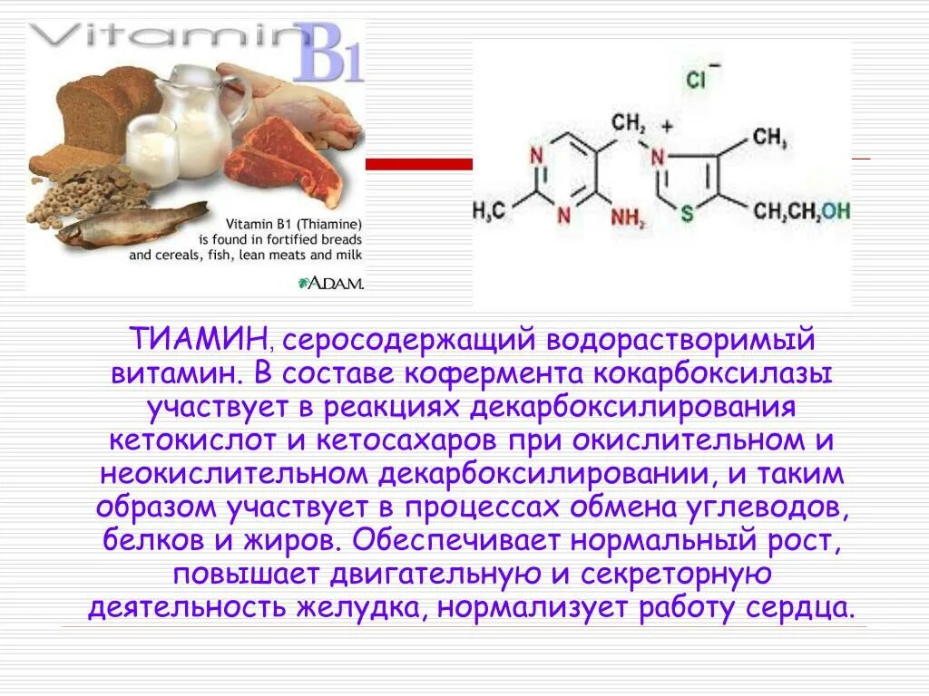 Состав b6. Кофермент тиамина витамина в1. Витамин б1 кофермент. В1 витамин кофермент биохимия. Витамин в1 кофермент витамина.