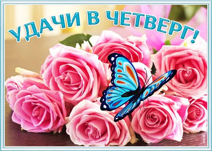 Открытки чудесного четверга. Классного четверга. Счастливого четверг четверга красивые. Хорошего четверга и отличного. Счастливого четверг четверга красивые.