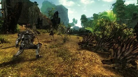 Risen 360