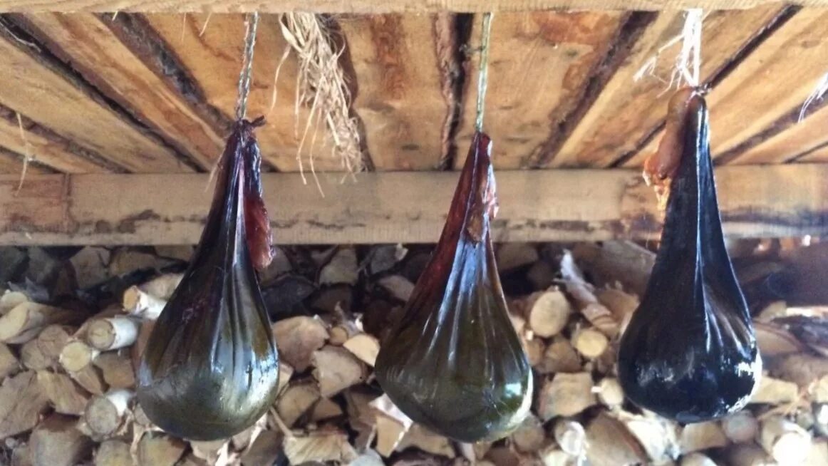 настой желчи медведя. алтайский заготовитель медвежья желчь. медвежья желчь. желчь медвежья желчь. желчь сушеная.