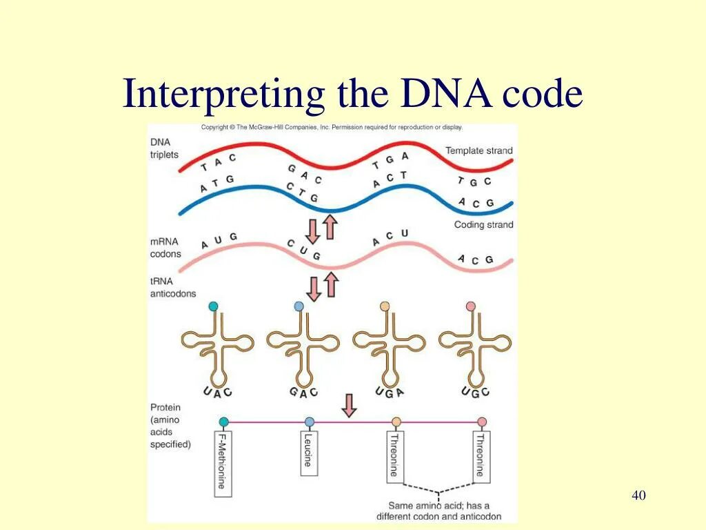 Coding dna. Dna code. цифровой код днк. как выглядит код днк человека.
