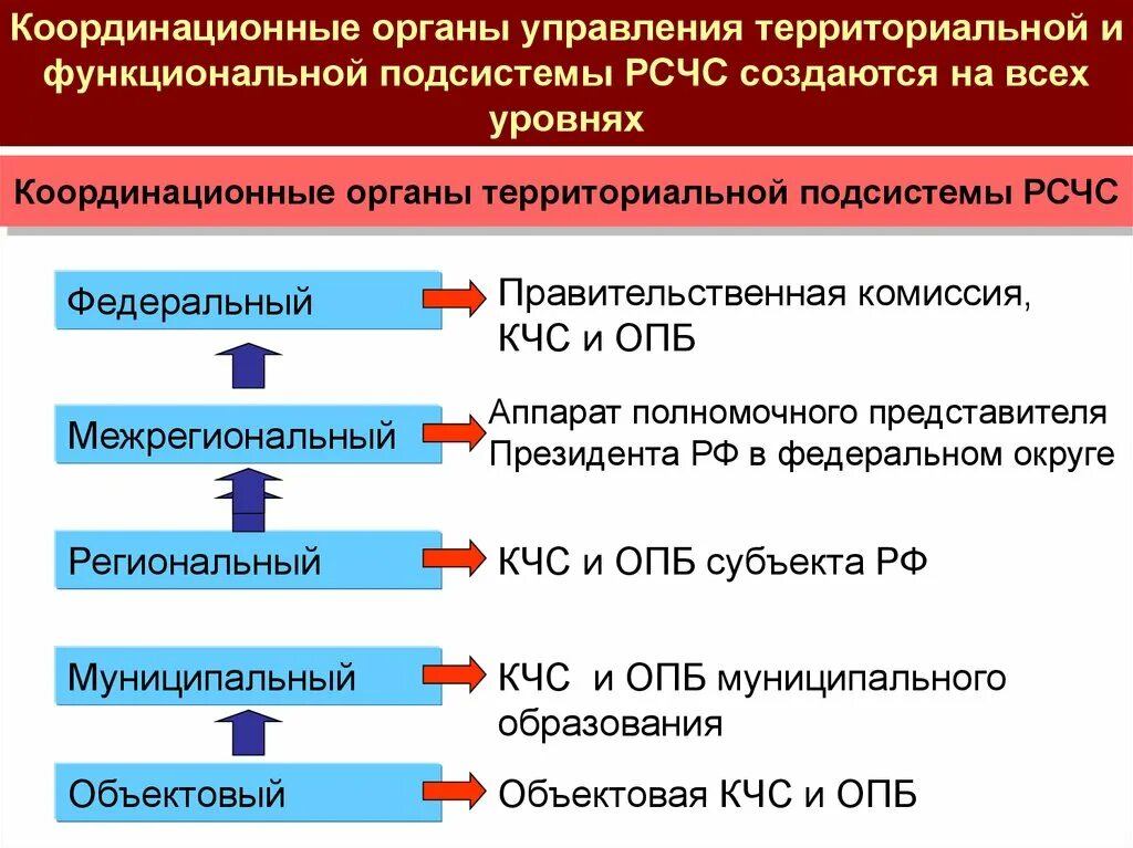 Координационные органы управления. Органы управления РСЧС на федеральном уровне. Координирующие органы управления. Координационные органы управления РСЧС. Координационный уровень управления