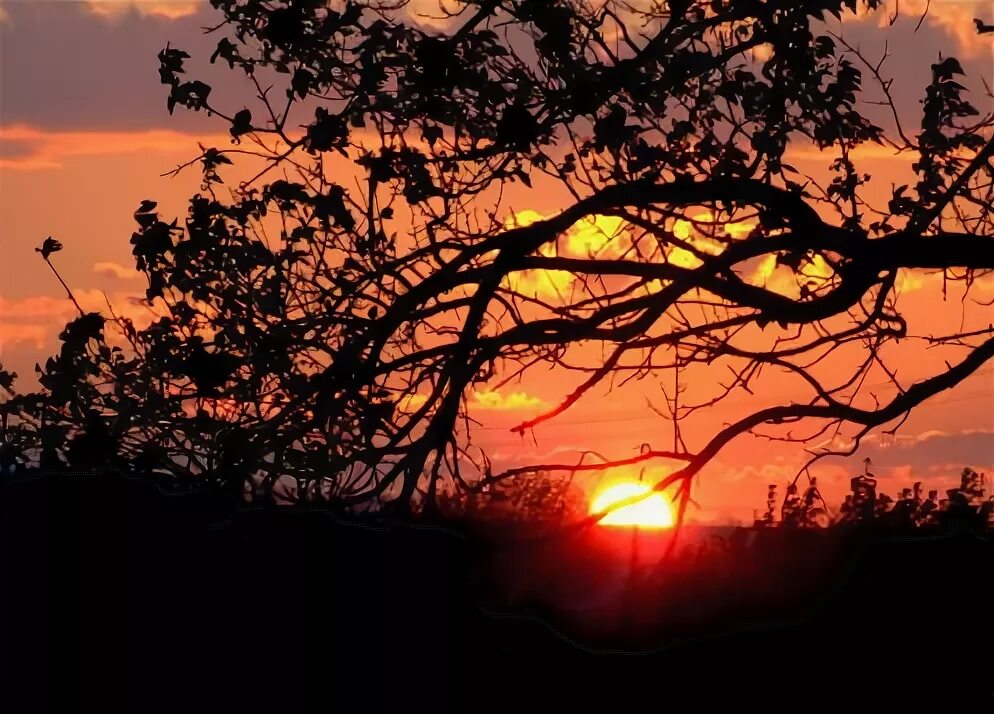 Заря гиф. Илья соловьев разгорелась заря золотая. Русские народные исполнительницы женщины. Илья соловьев разгорелась заря золотая. Картинки разгорелась заря золотая.