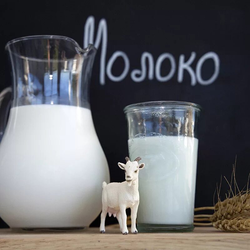 Реализуем молоко. Козье молоко. Коза молоко. Молоко домашнее. Козье молоко домашнее.
