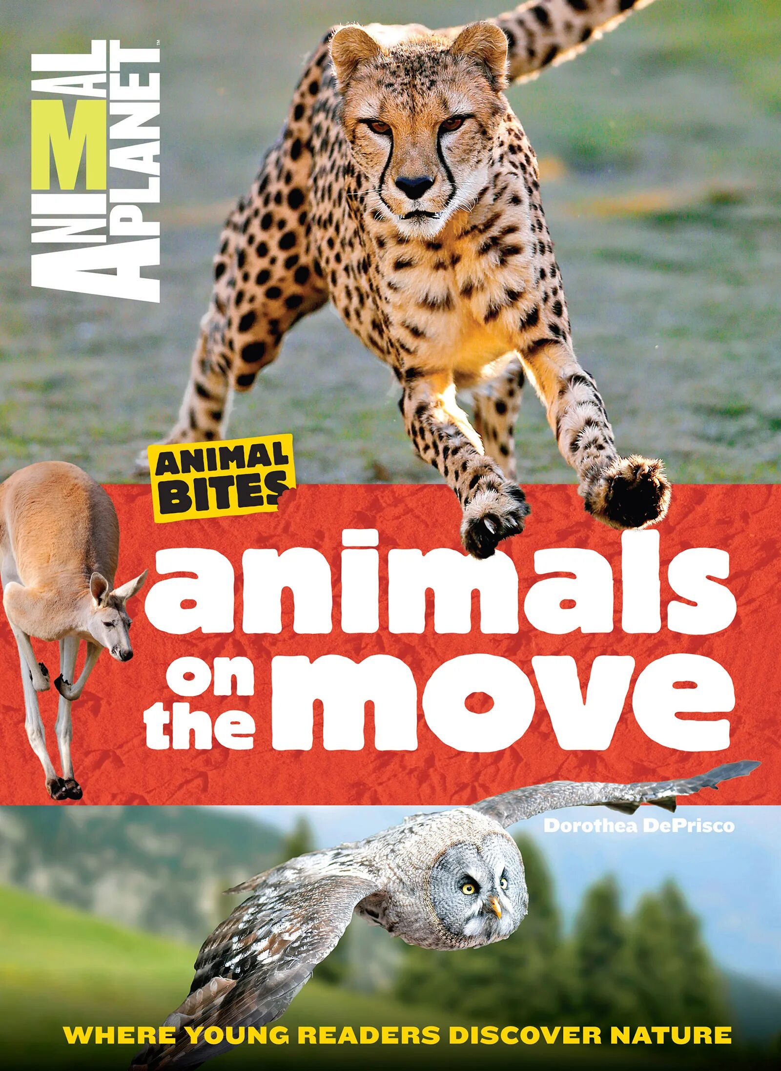Animal bite. Животные энимал планет. move animals. игра move animals. movers animals.