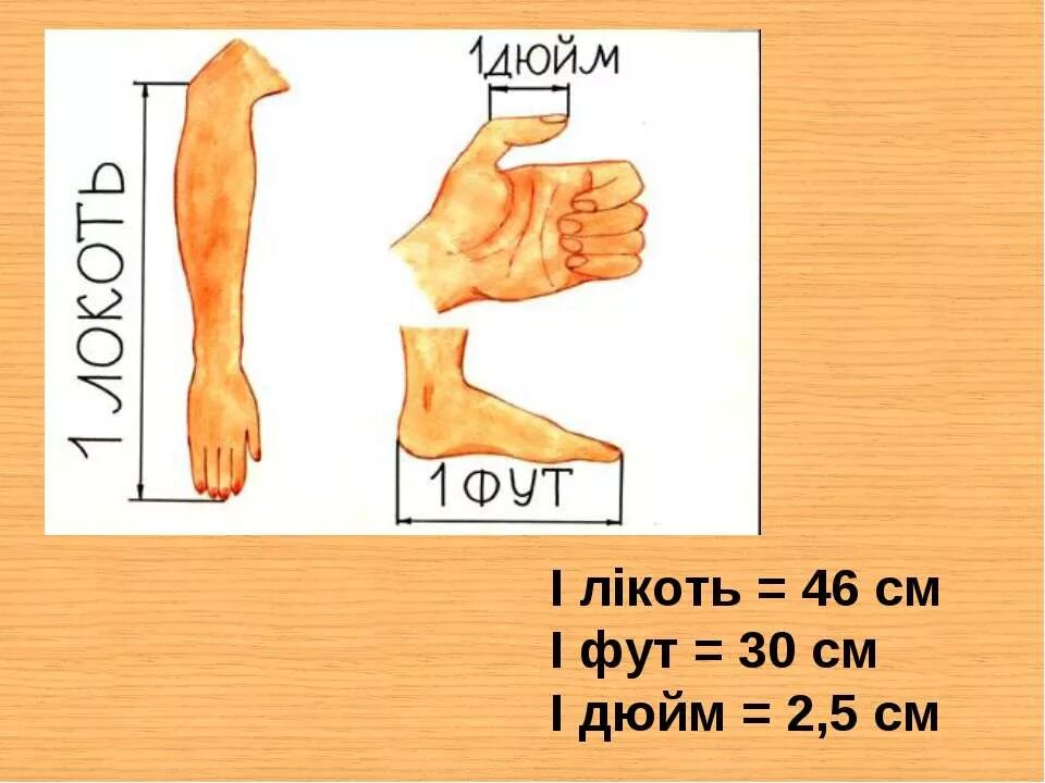 Что означает фута. Локоть дюйм фут. Фут мера длины. Меры длины дюйм фут. Локоть (единица длины).