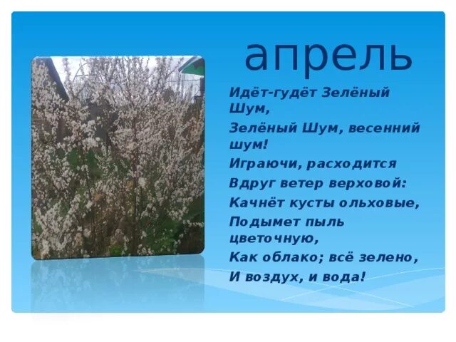 Иди апрель 16. Идёт гудёт зелёный шум. Весенний шум стих. Стихотворение зеленый шум. Идёт гудёт зелёный шум зелёный шум весенний.