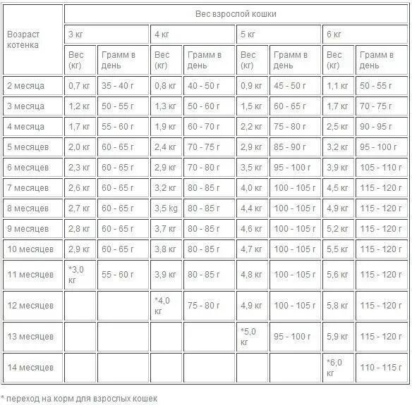 Сколько весит кот в год. Вес британского котенка по месяцам таблица. вес шотландского котенка по месяцам. вес британского котенка по месяцам. вес котенка в 4 месяца.