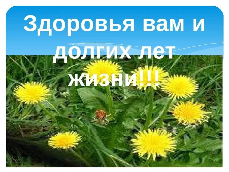 Долгих лет жизни. Здоровья вам. Здоровья на долгие годы. Крепкого вам здоровья. Крепкого здоровья и долгих лет жизни.