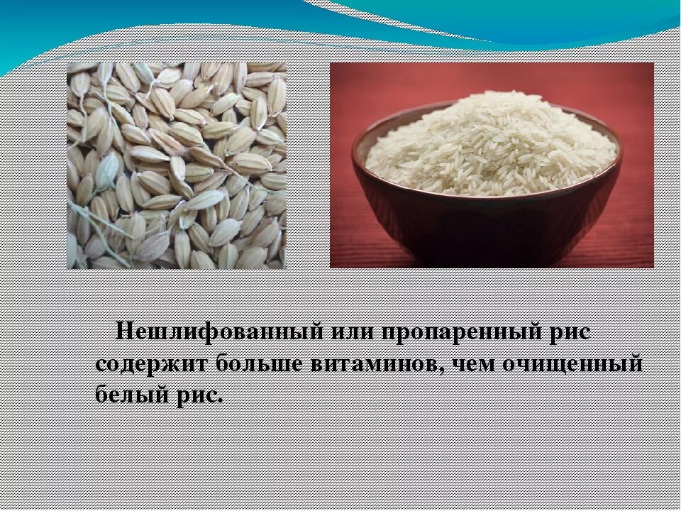 Сколько белков содержится в рисе. Полезный рис. Крупа рисовая витамины. Рис полезные свойства. Белый очищенный рис.