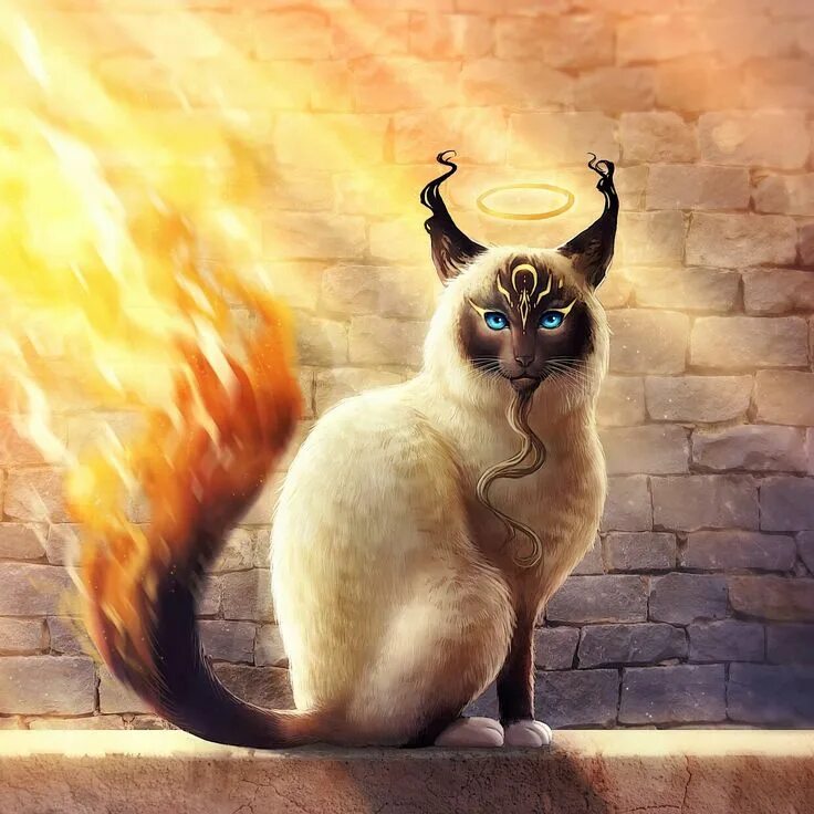 Мистические коты. Огненный кот. Кошка магия. Фантастические кошки.