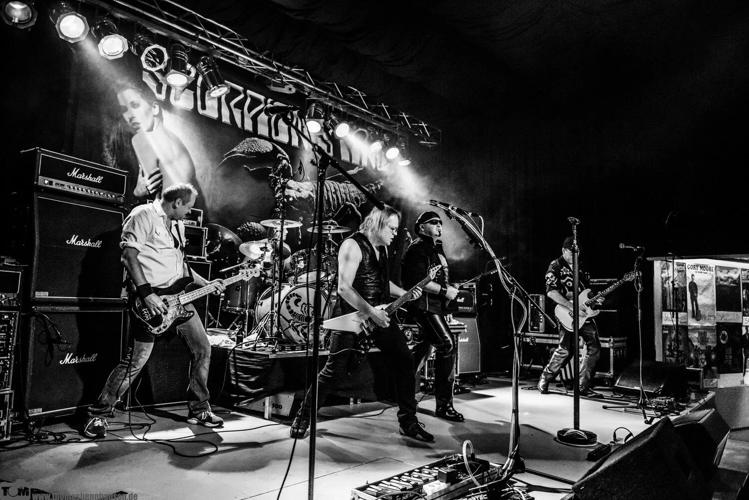 Scorpion's sting. Scorpions sting in the tail 2010 обложка. Scorpion's sting. скорпионс 1997. Scorpion's sting.