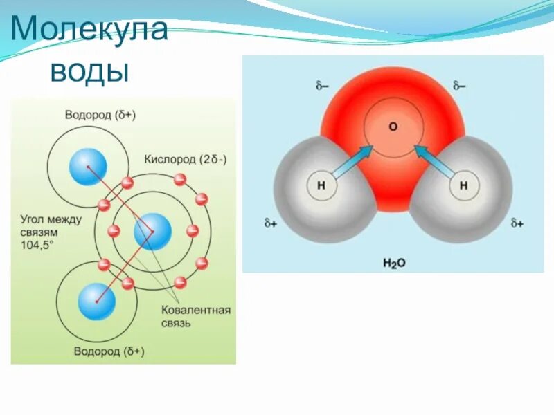 Угол между атомами водорода в молекуле воды. Молекула воды. Структура молекулы воды. Молекула молекула воды. Физика молекулы воды