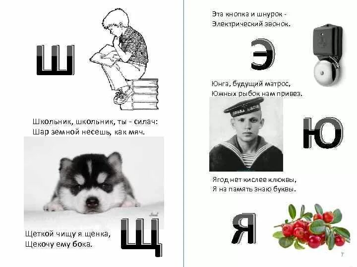 Щеткой чищу я щенка щекочу ему бока