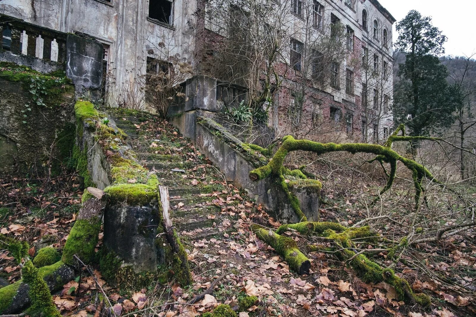 Поселок-призрак Акармара. Акармара город-призрак в Абхазии. Абхазия Акармара заброшенный. Заброшенный поселок в Абхазии Акармара.