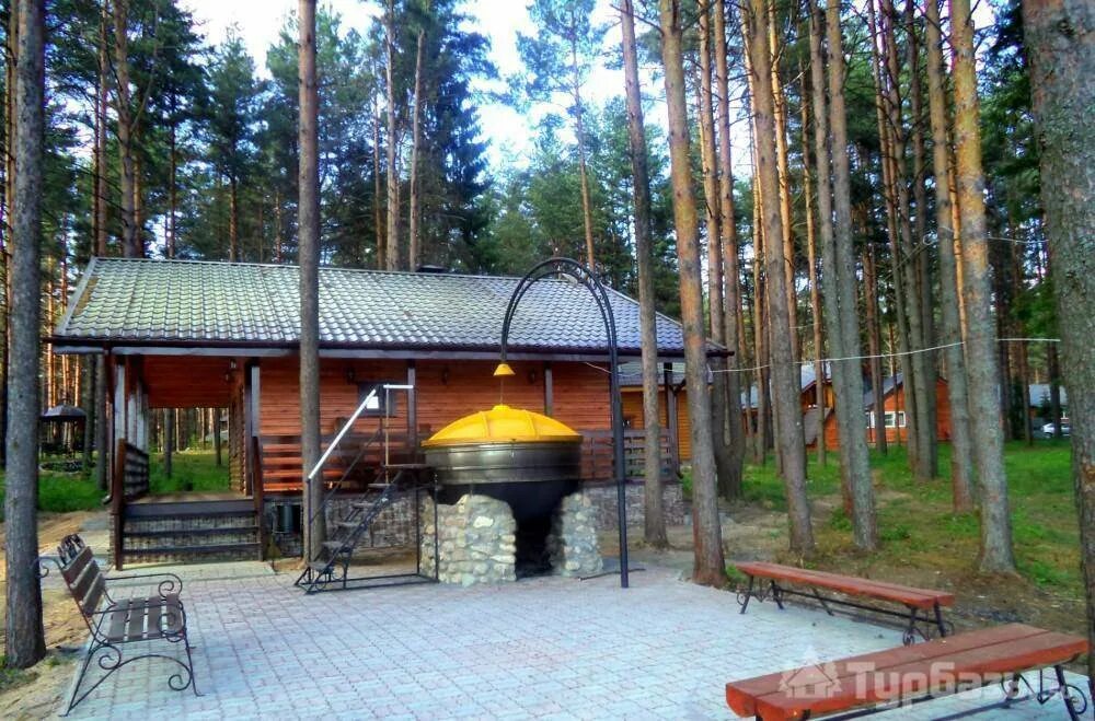 Солнечный бор череповец. Солнечный бор череповец база. городище череповец база отдыха. база отдыха степаново череповец. солнечный бор череповец база отдыха.
