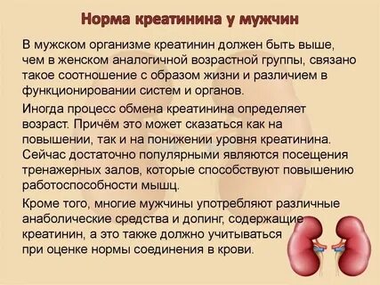 Уровень показателей креатинина