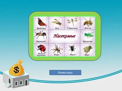Признаки осу