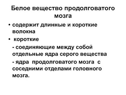 Белое вещество продолговатого мозга