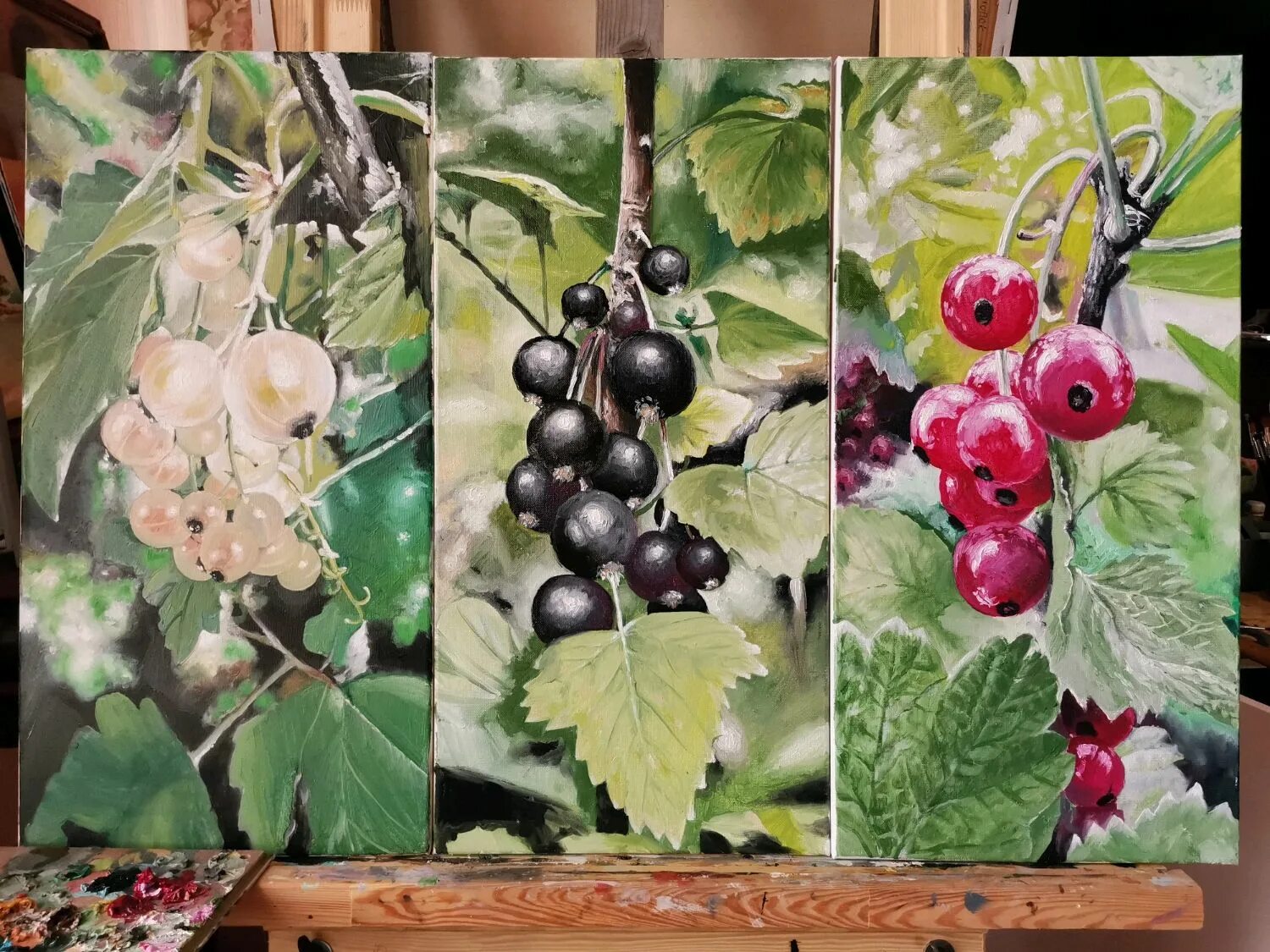 Черная смородина тип соцветия. Строение листа смородины. Соцветие смородины. Соцветия смородины схема. Впр смородина.