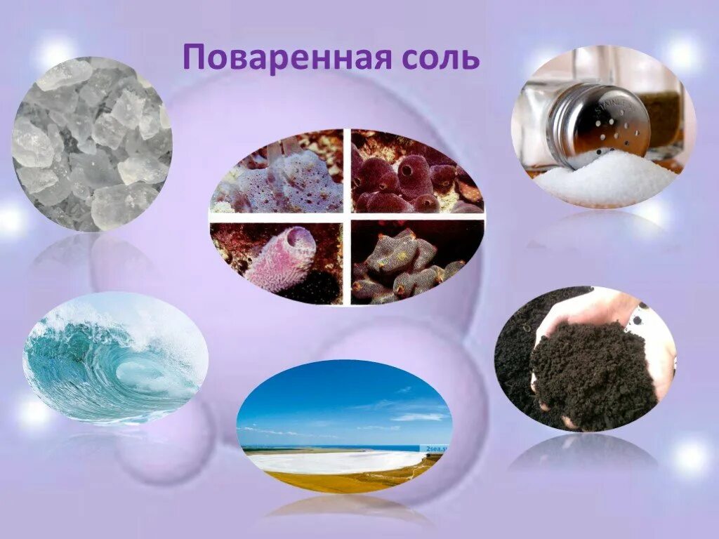 Разнообразие веществ 3 таблица. Окружающий мир разнообразие веществ. Что такое поваренная соль окружающий мир. Разнообразие веществ соль. Разнообразие веществ в природе.