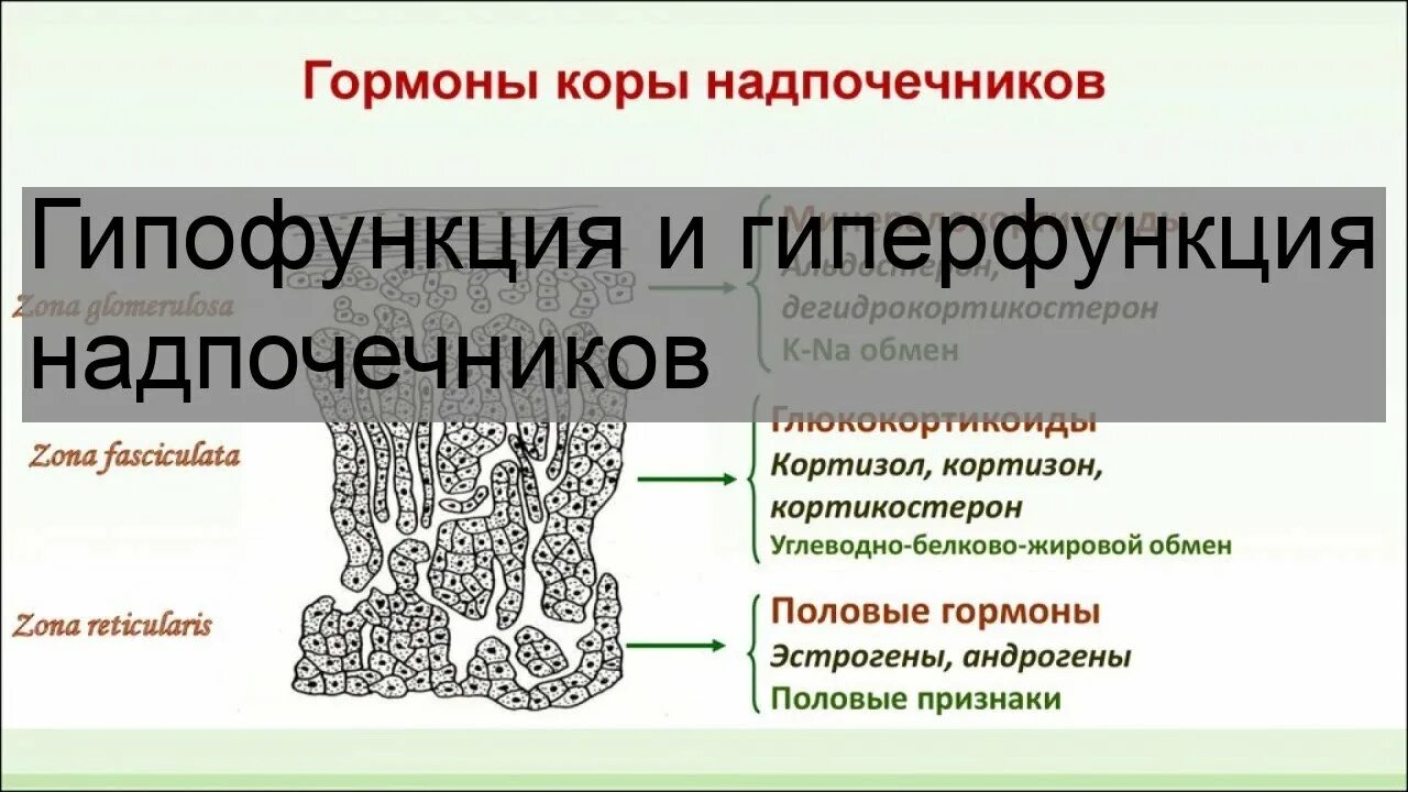 Гипофункция коры надпочечников. Надпочечники гиперфункция и гипофункция. Гипофункция мозгового слоя надпочечников. Гипофункция гормонов надпочечников. Гиперфункция мозгового вещества надпочечников