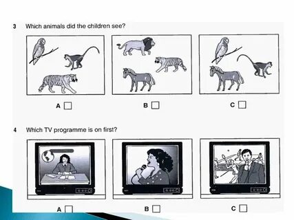 Listen to the animal