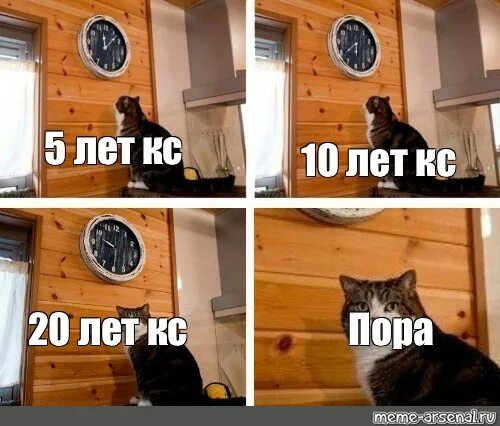 Пора вводить. Мемы с котом и часами. кот и часы мем. мем кот часы пора. мем с котами и часами.