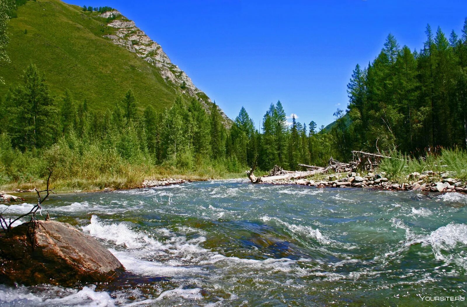 Горный ручей абхазия. Реки кузнецкого алатау. Долина реки псыш архыз. Река чуя алтай. Алтай река катунь лес.