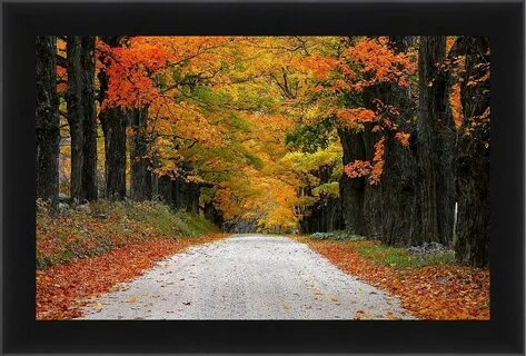 Fall but