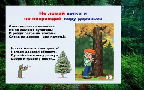 Не ломайте ветви деревьев какое предложение