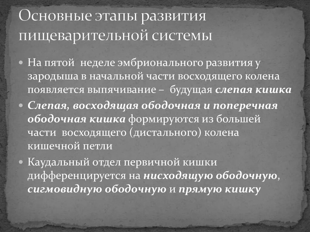 1 развитие пищеварительной системы. Эволюция пищеварительной системы системы системы животных. Развитие пищеварительной системы кишечная трубка. 1 развитие пищеварительной системы. Схема строения пищеварительной системы позвоночных.